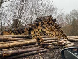 Smrková kulatina 2,5m