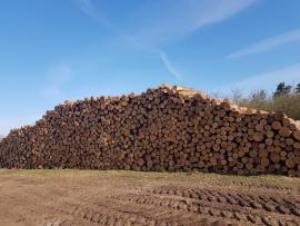 Smrk 2,5m 2000m3 IHNED K ODBĚRU