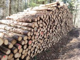 Smrk 2,5m 2000m3 IHNED K ODBĚRU