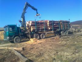 Scania 420 6x6, Longlift 215Z
