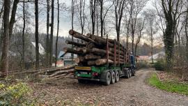 AKCE - Palivové dřevo s dopravou