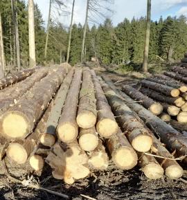 FUMIGACIA - ZIMNÉ OBDOBIE Dunajská Streda