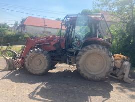 Ťažba dreva, frézovanie, mulčovanie