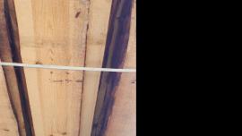 Pine for sale