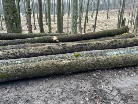 Predám Smrek 3.C/D a JS guľatina