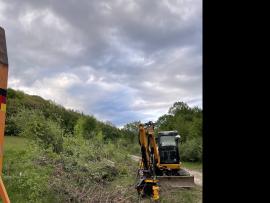 Služby v lesníctve 